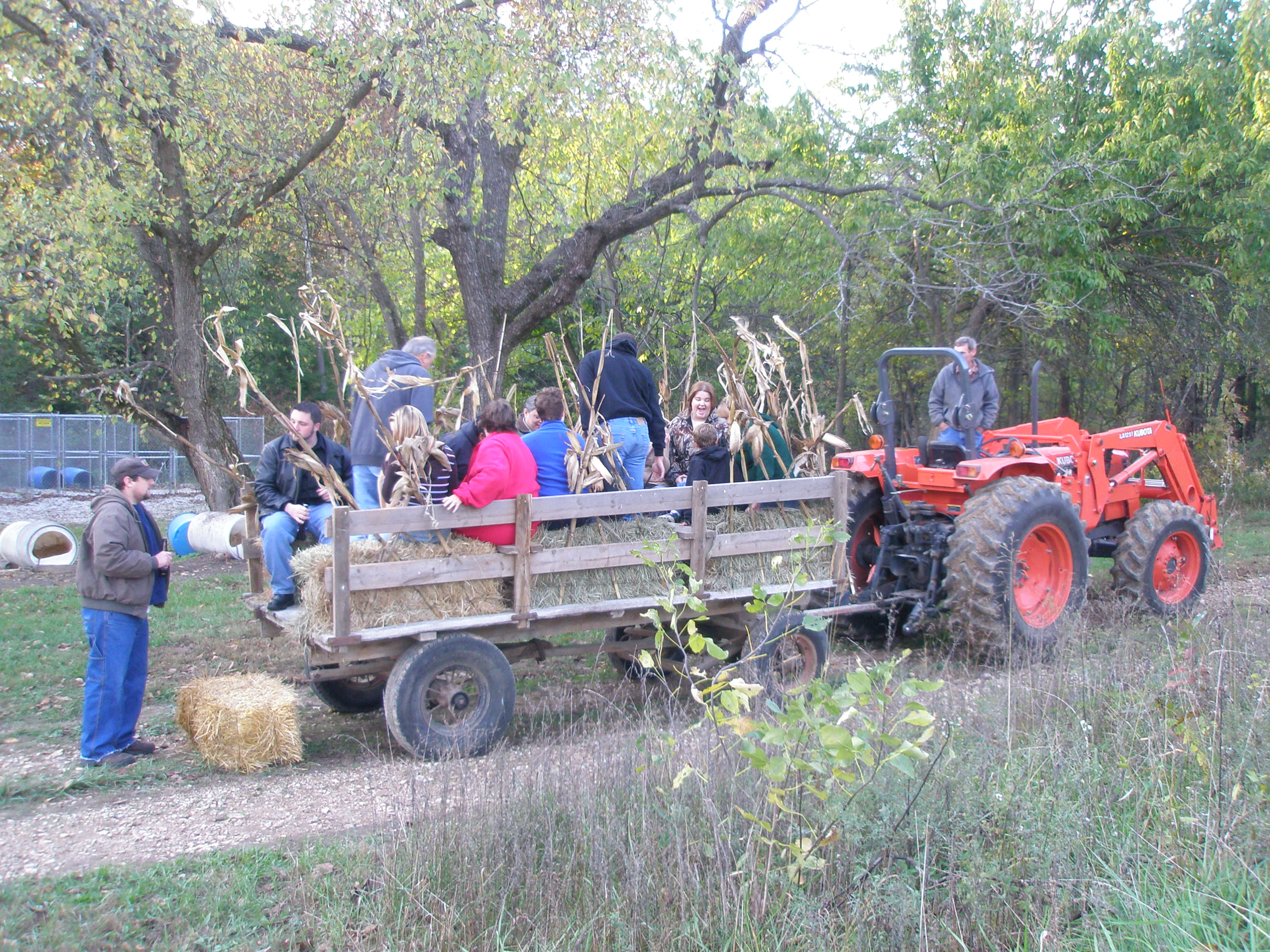 hayride.jpg
